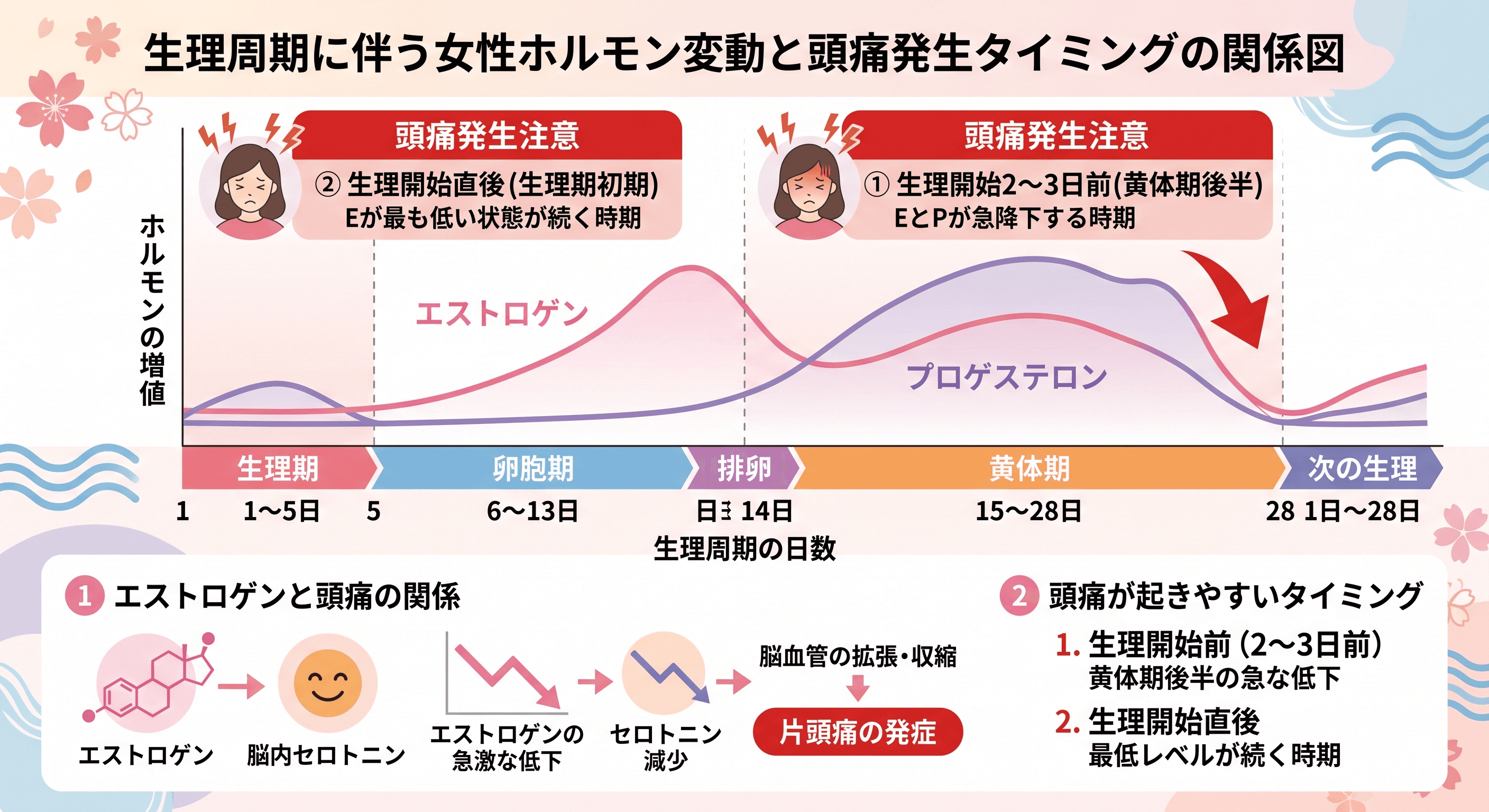 生理周期に伴うエストロゲン・プロゲステロンの変動グラフと頭痛発生タイミングの関係図