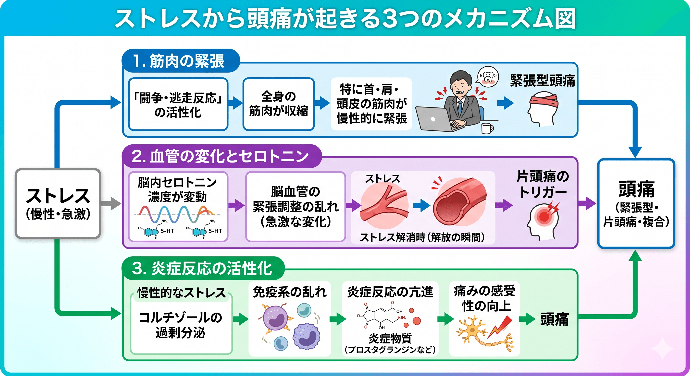 ストレス→筋肉緊張・セロトニン変動・炎症の3ルートで頭痛が起きるメカニズム図